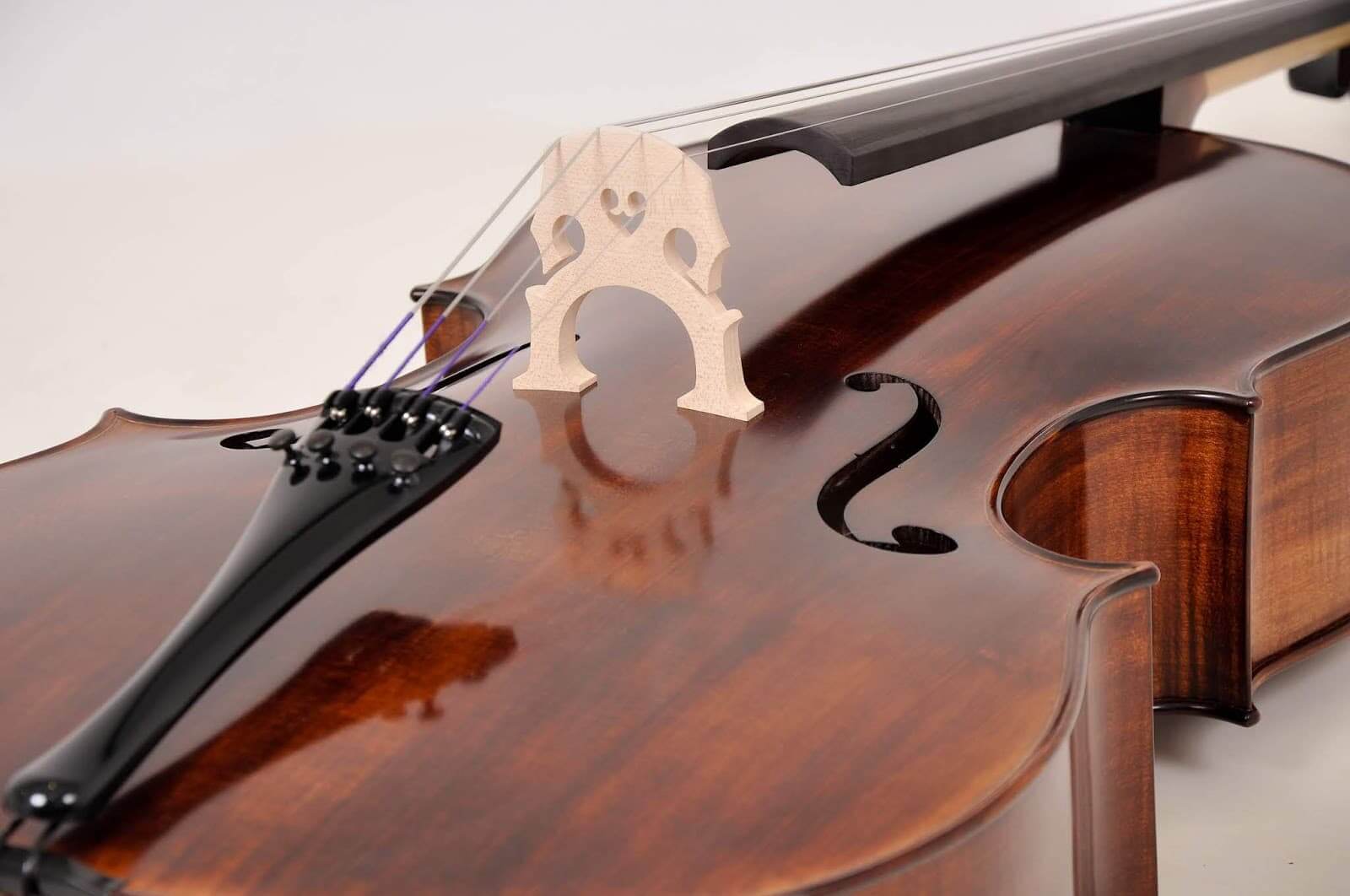 Cello Hossony Modelo E