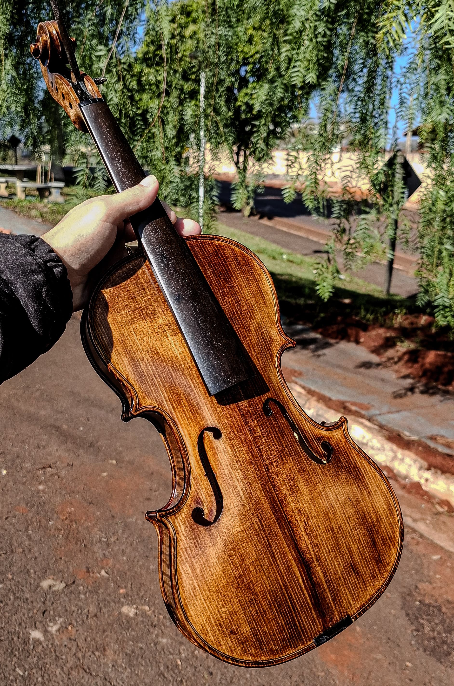 Violino Profissional Modelo A